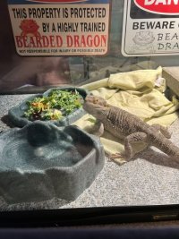 IMG_0082.jpeg
