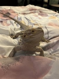 IMG_0091.jpeg