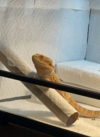 IMG_9024.jpeg