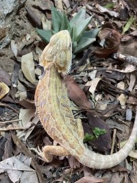 IMG_1942.jpeg