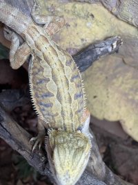 IMG_1950.jpeg