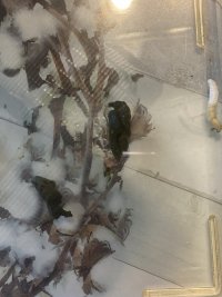 IMG_4277.jpeg