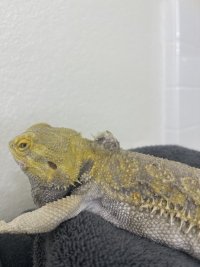 IMG_5313.jpeg