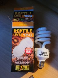 20240831_203348.jpg