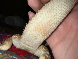 IMG_6866.jpeg