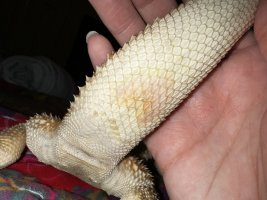 IMG_6867.jpeg