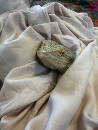 IMG_6648.jpeg