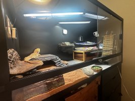 IMG_6875.jpeg