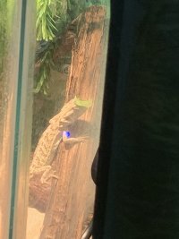 IMG_5999.jpeg