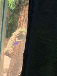 IMG_5998.jpeg