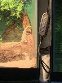 IMG_6002.jpeg