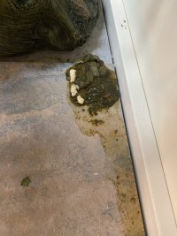 IMG_8880.jpeg