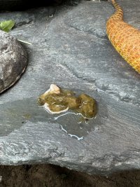 IMG_2844.jpeg