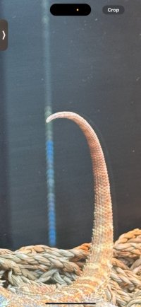 IMG_5154.jpeg