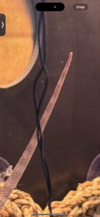 IMG_5155.jpeg