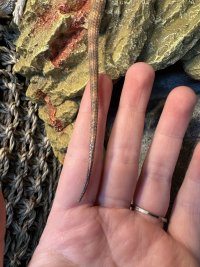 IMG_5153.jpeg