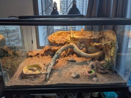 enclosure.jpg