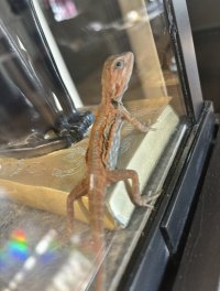 IMG_6010.jpeg