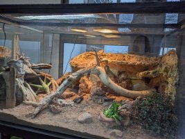 terrarium_aktuell.jpg