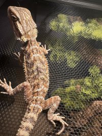 IMG_1504.jpeg