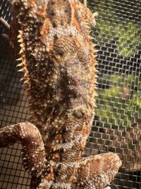 IMG_1505.jpeg