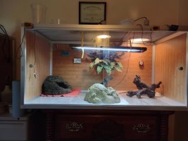 Blaze tank 9-13-2021.jpg