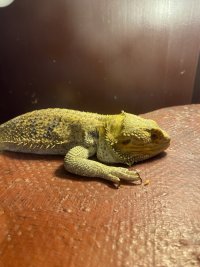 IMG_0024.jpeg