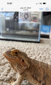 IMG_4173.jpeg