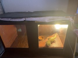 IMG_0051.jpeg