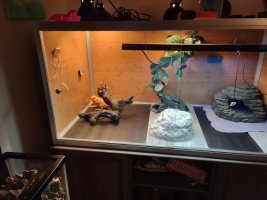 New substrate Hiccup 9-30-22.jpg