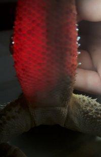 IMG_4490.jpeg