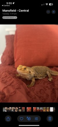 IMG_9332.jpg