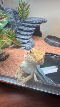 IMG_7404.jpeg