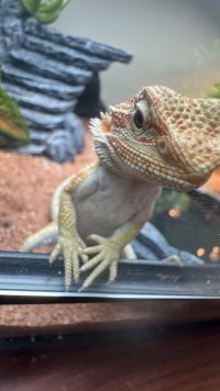 IMG_7405.jpeg