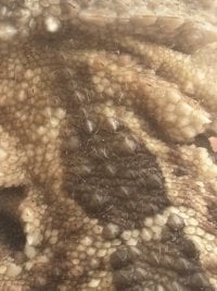 IMG_2571.jpeg