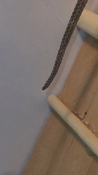 VideoCapture_20241005-184957.jpg