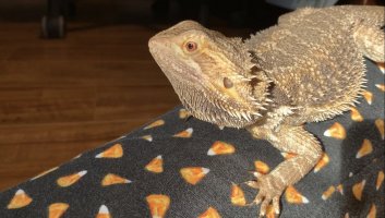 IMG_5825.jpeg
