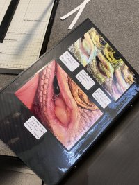 IMG_2743.jpeg