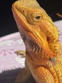 IMG_8838.jpeg
