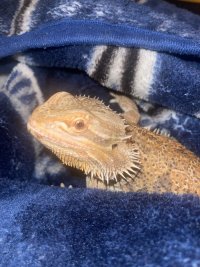 IMG_9001.jpeg