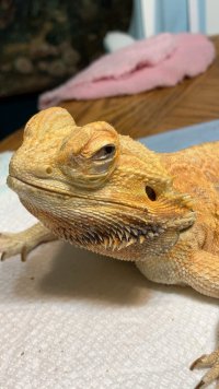 IMG_0210.jpeg