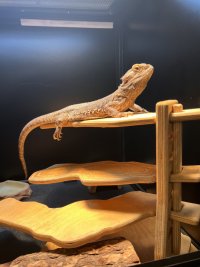 IMG_2284.jpeg