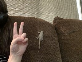IMG_3205.jpeg