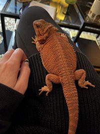 thumbnail_IMG_0121.jpg