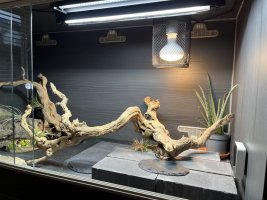 thumbnail_IMG_0128.jpg