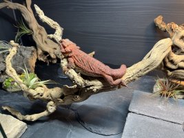 thumbnail_IMG_0133.jpg