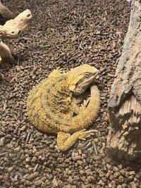 IMG_1624.jpeg