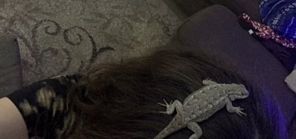 IMG_5152.jpeg
