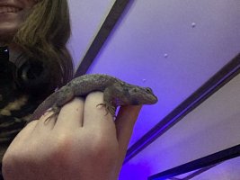 IMG_5157.jpeg