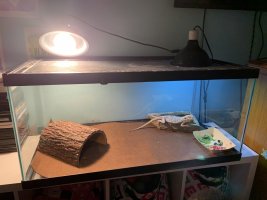 IMG_3619.jpeg